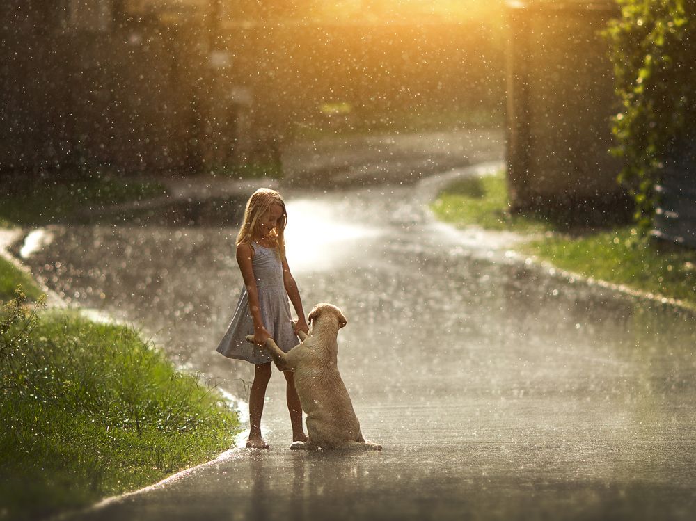 Звездный дождь