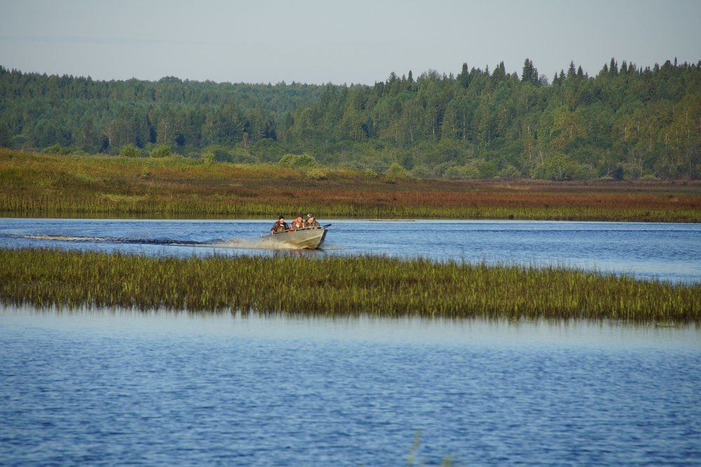 охотники возвращаются