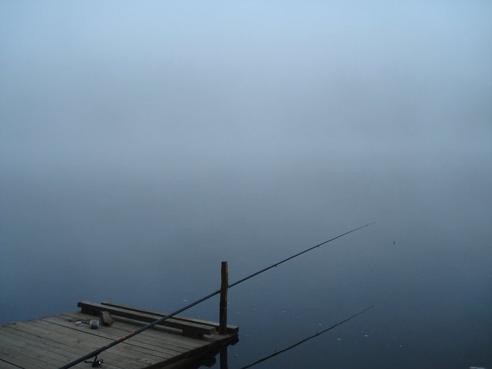 туманная рыбалка