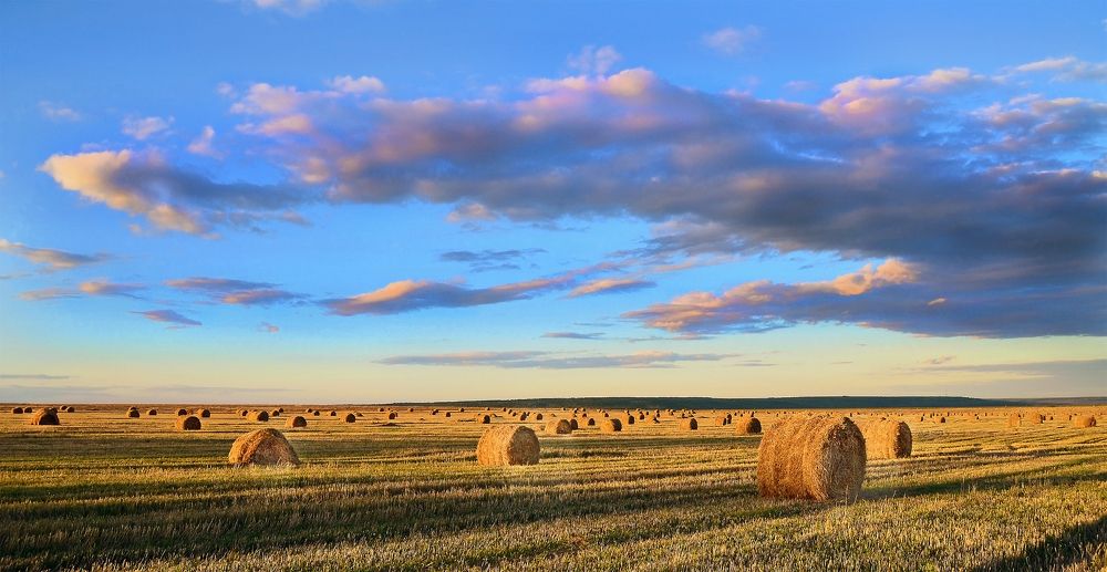 ближе к вечеру...