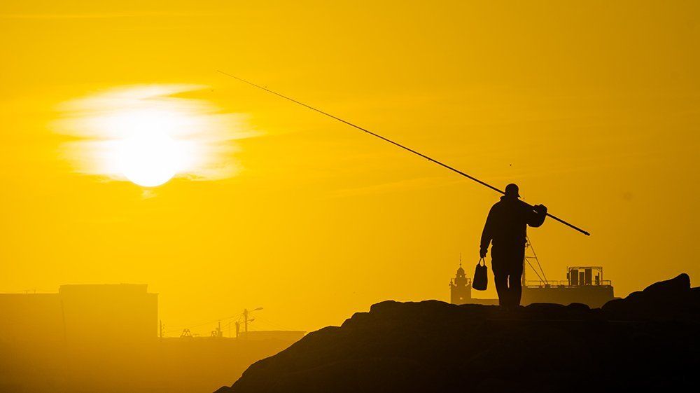 Sunset Fishman