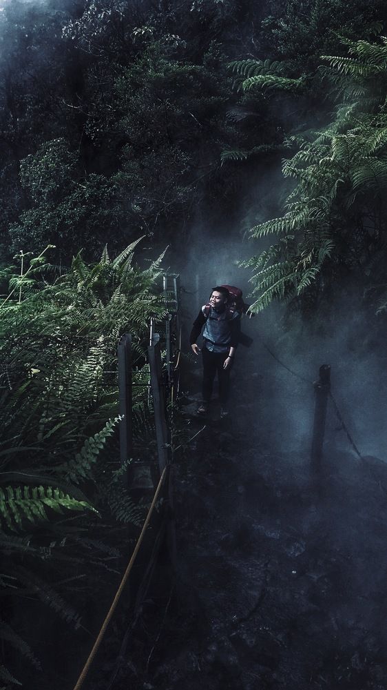 Get through the deadly fog