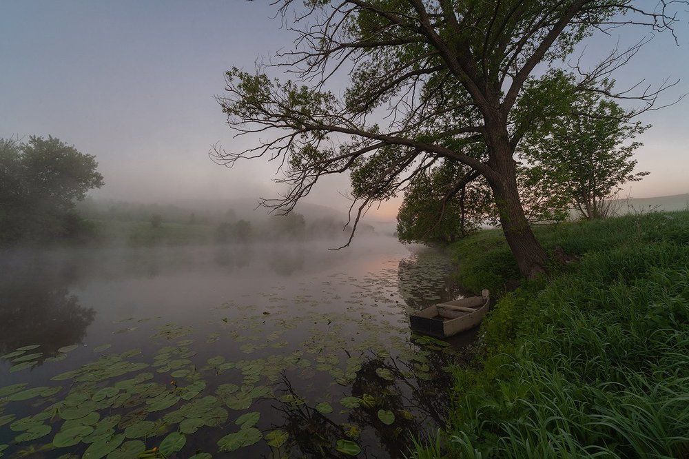 Утренняя находка.