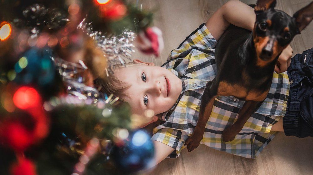 Photograph by Наталия