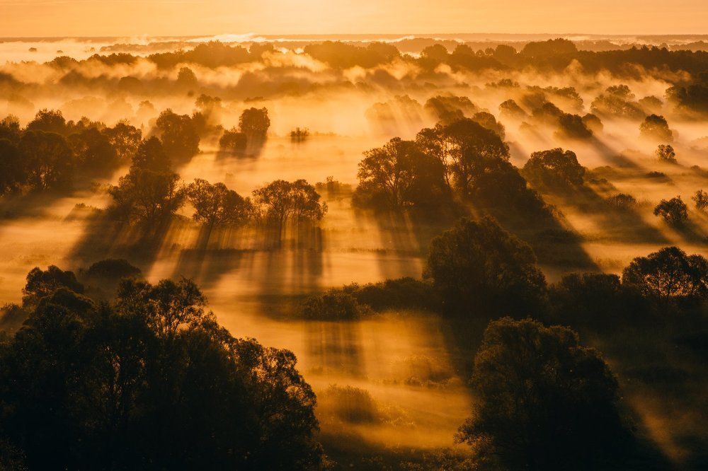 Небеса на земле