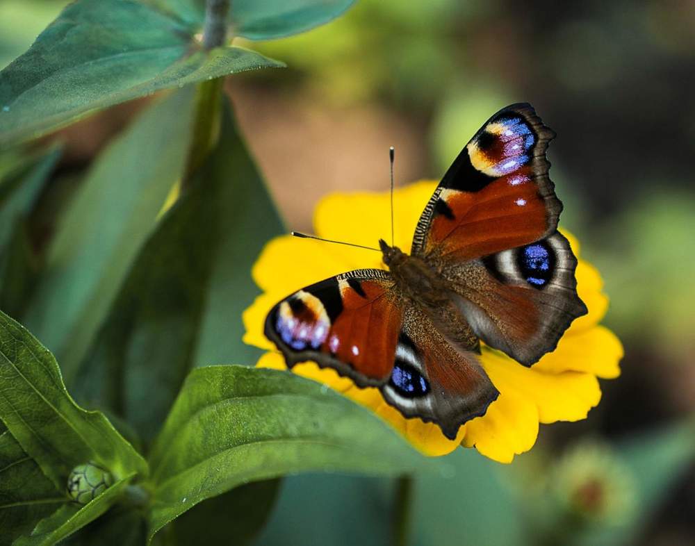 Photograph by Павлова Анастасия