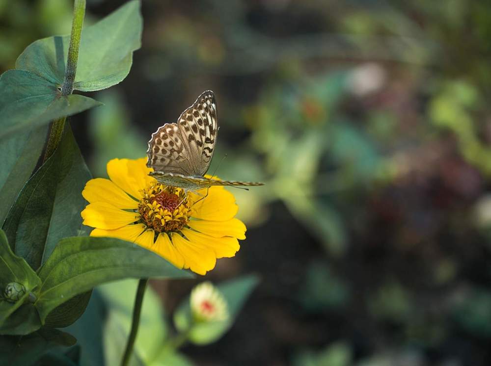Photograph by Павлова Анастасия