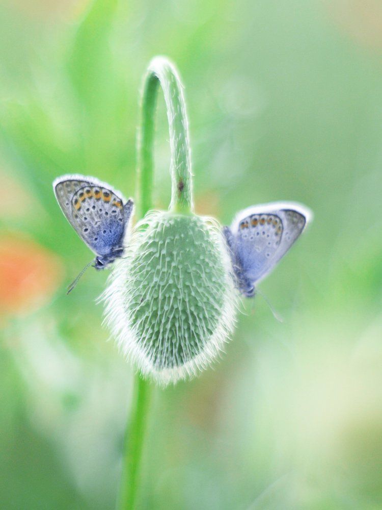 Вместе веселее