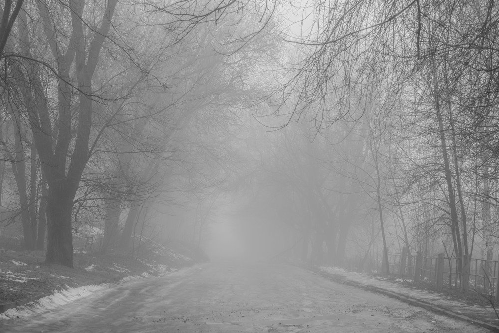 Туман в тиши