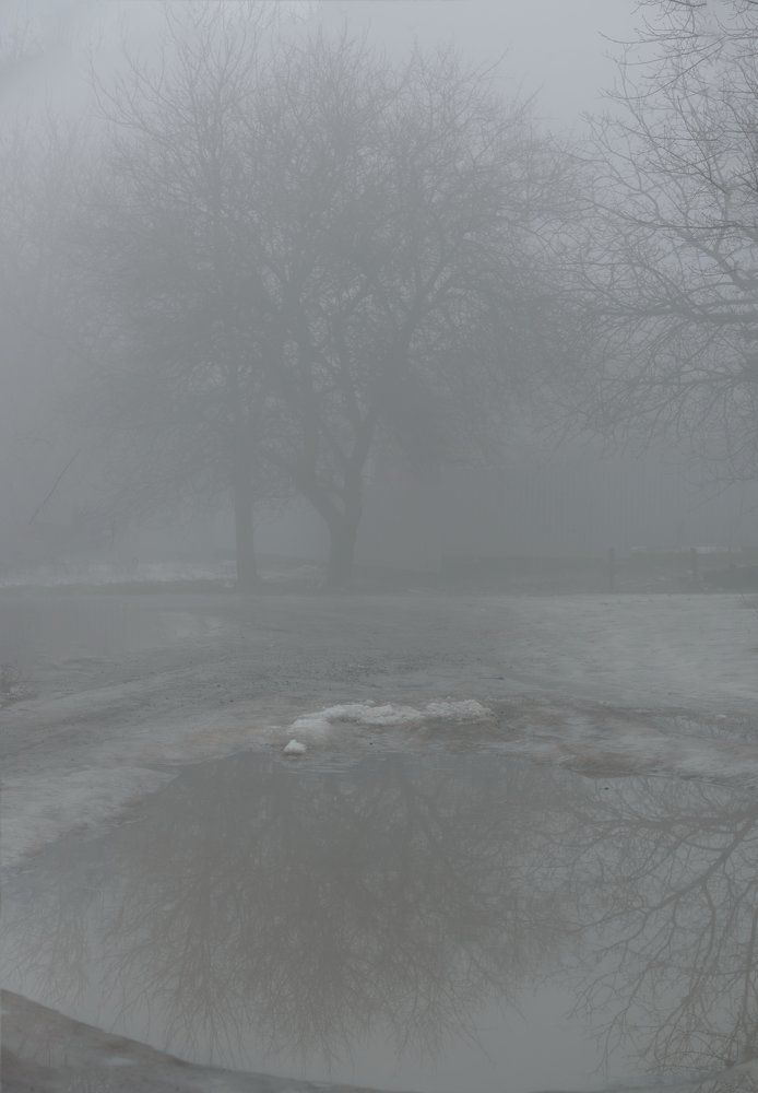 Туманом землю всю укрыло