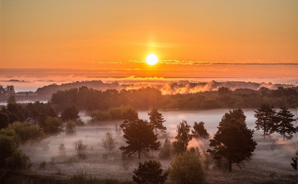 Photograph by Воробьёв Евгений