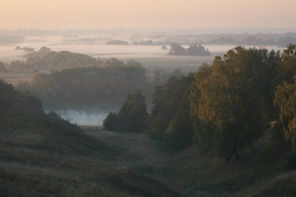 Окский пейзаж