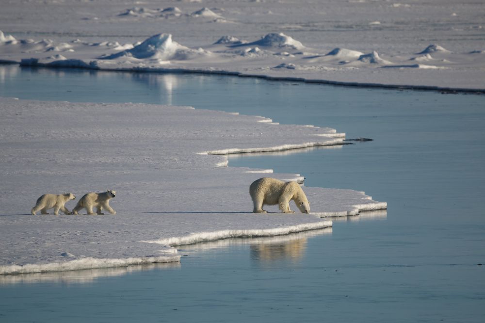 С мамой на рыбалке