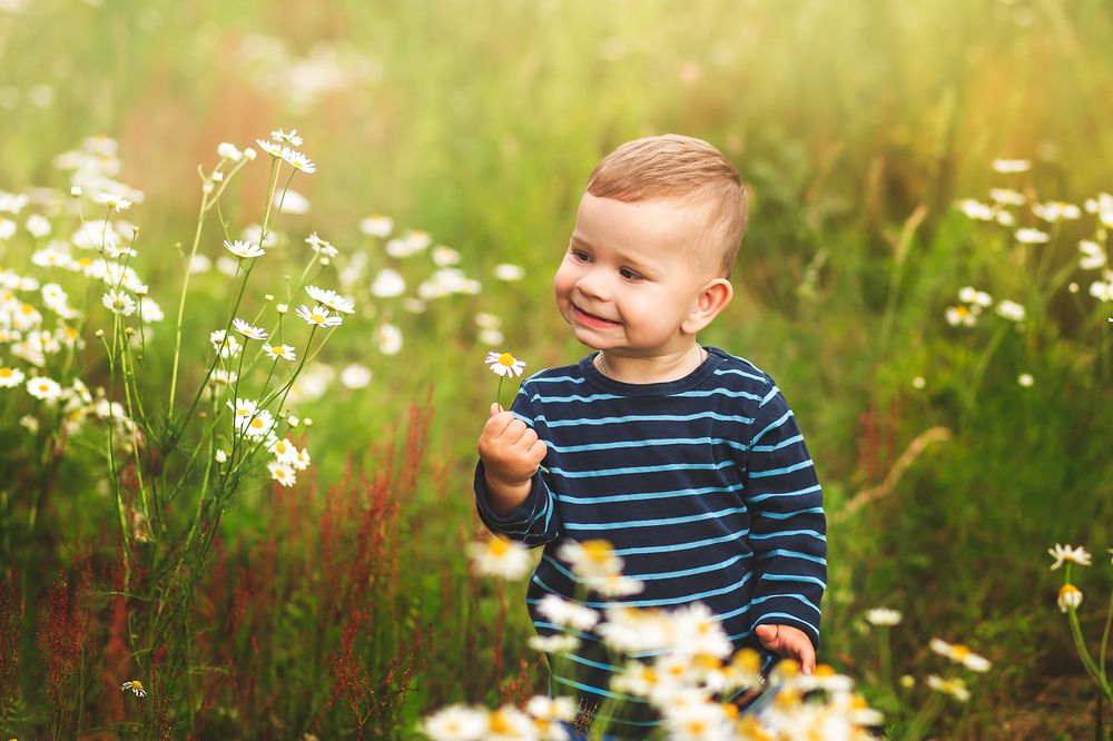 Маленький кавалер