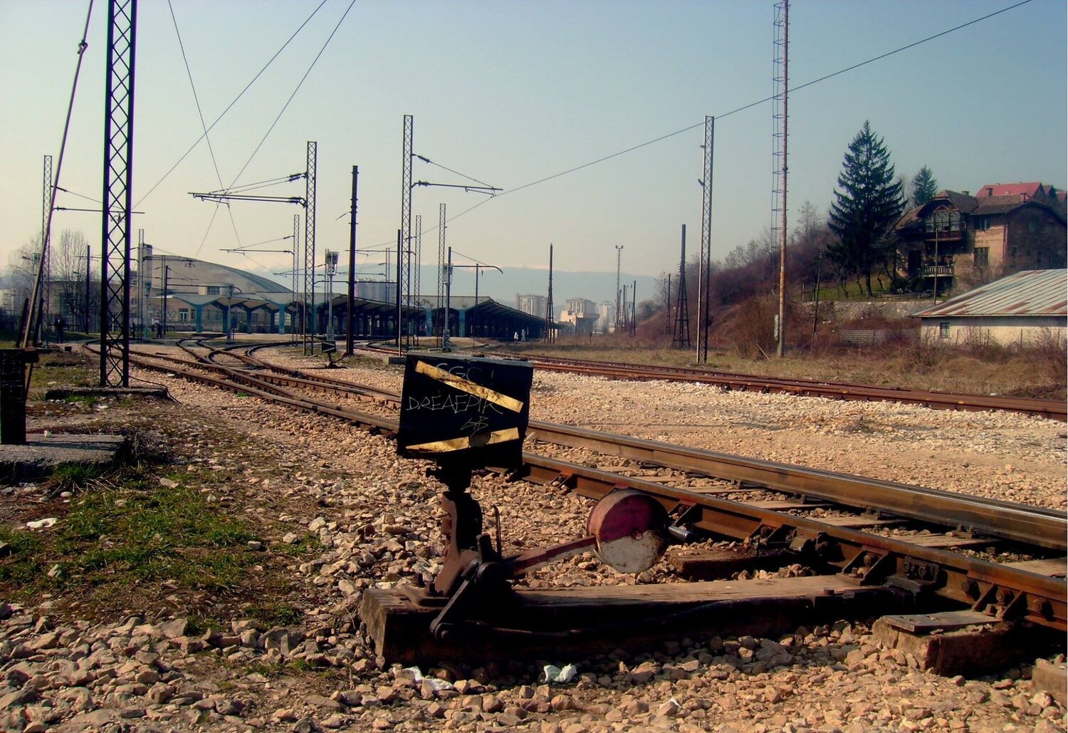Photo #2475048