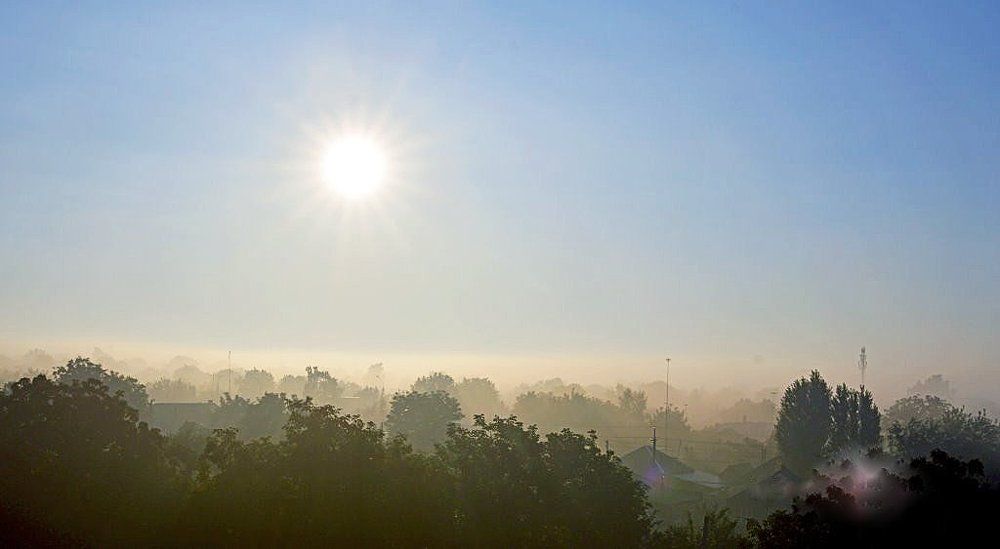 Летом поутру