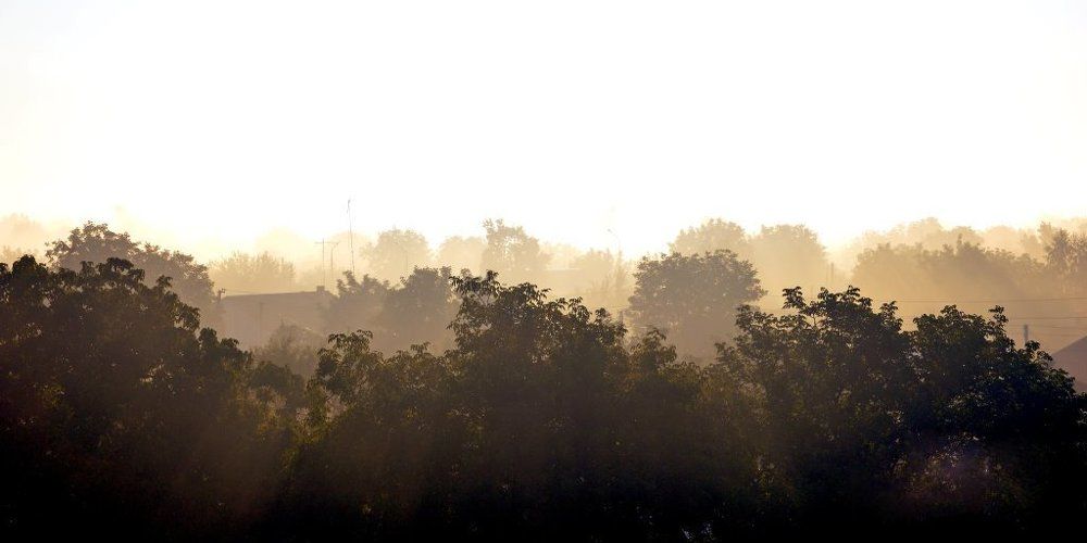 Утренний кофе