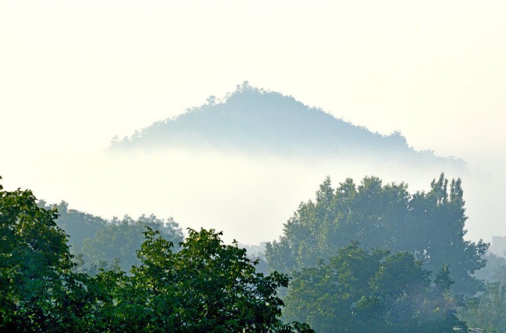 Вид из окна