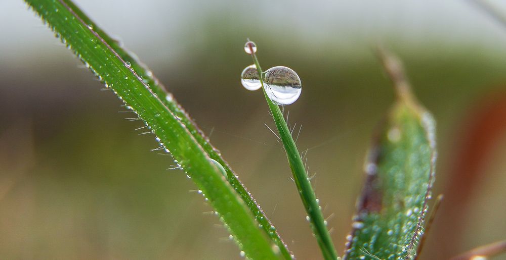 Photograph by Антонов Алексей