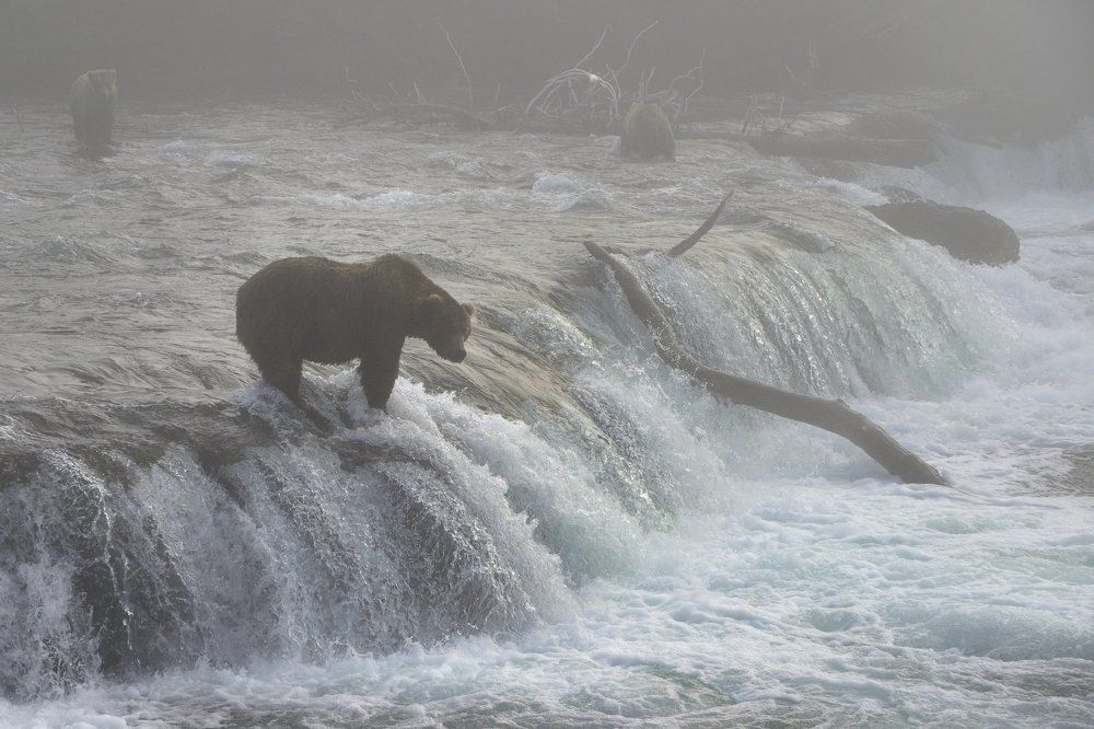 Утро на водопаде.