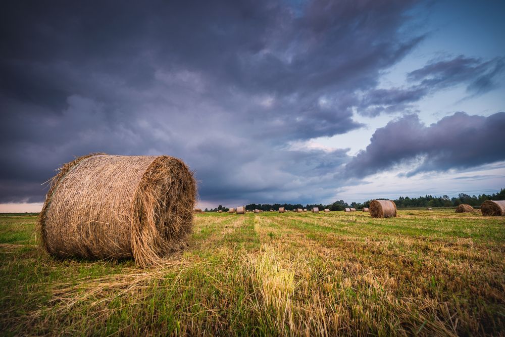 Haystacks