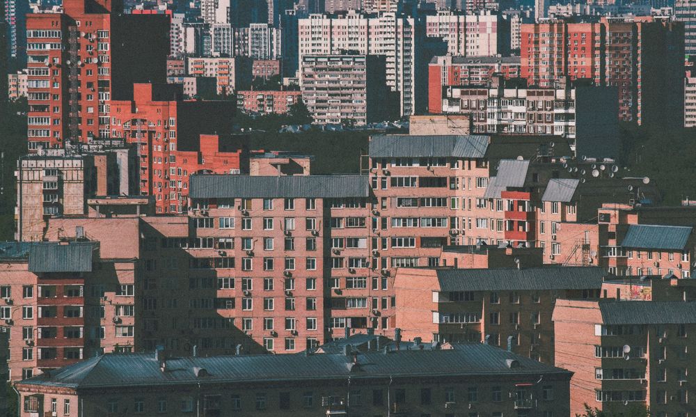 Джунгли/Jungle