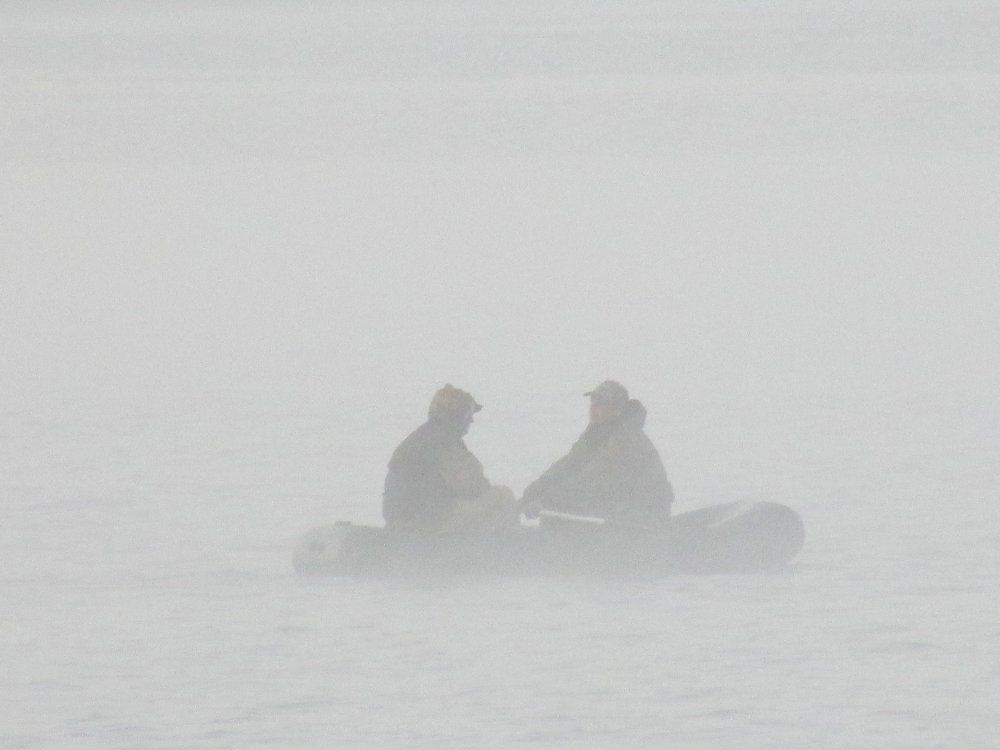 Photograph by Любовь