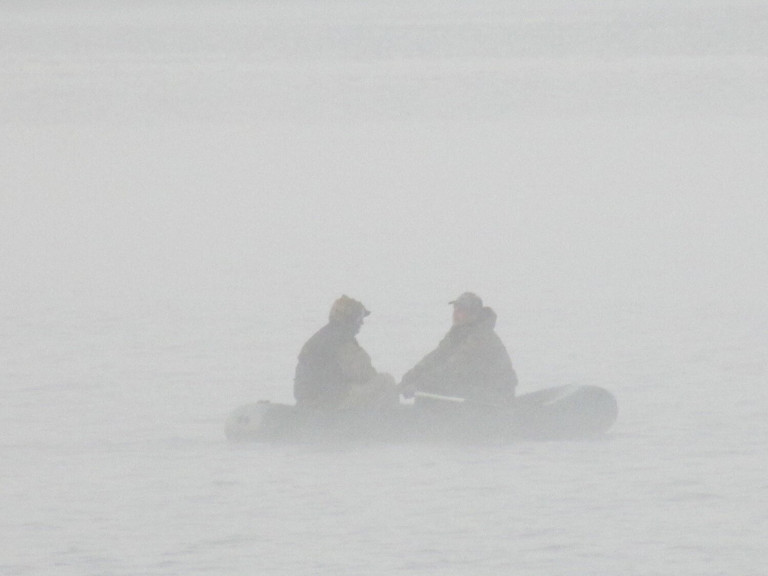 Photo #2475286