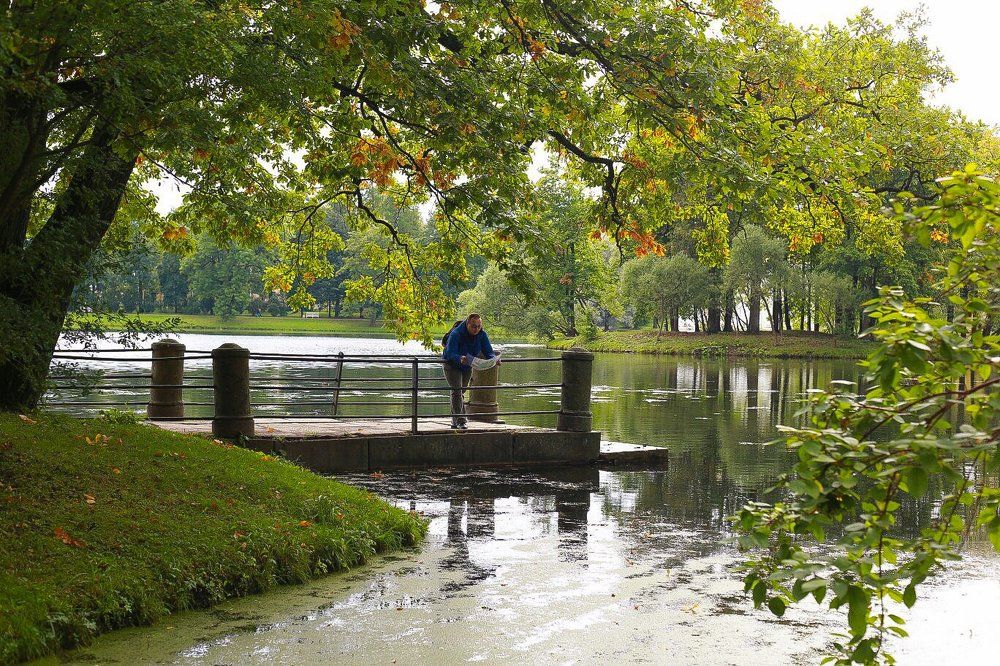 Photograph by Виктория Зайкова