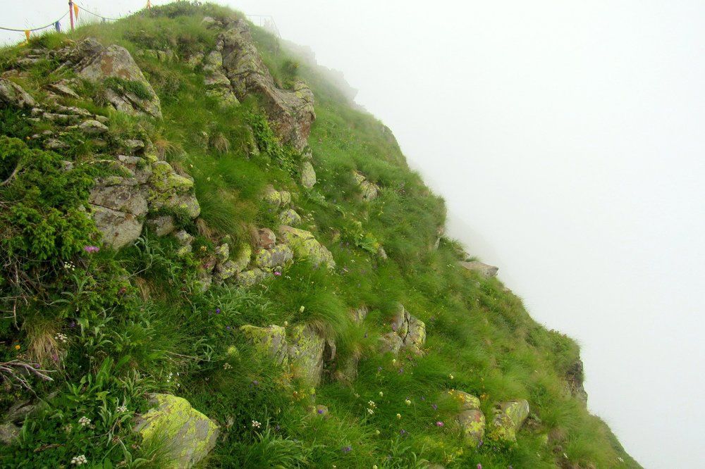 Fog