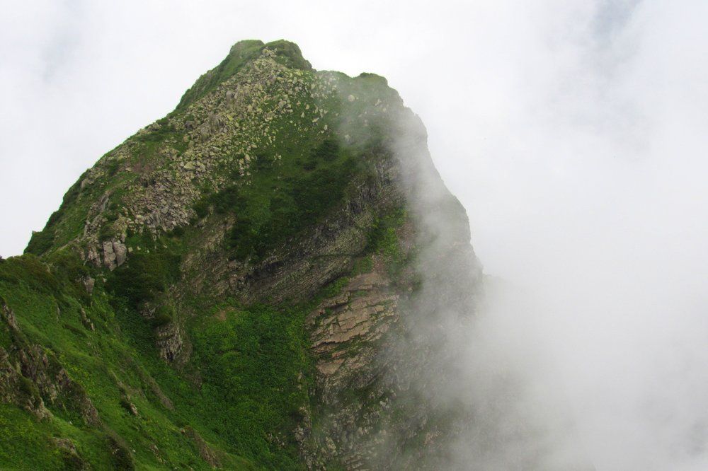 Fog