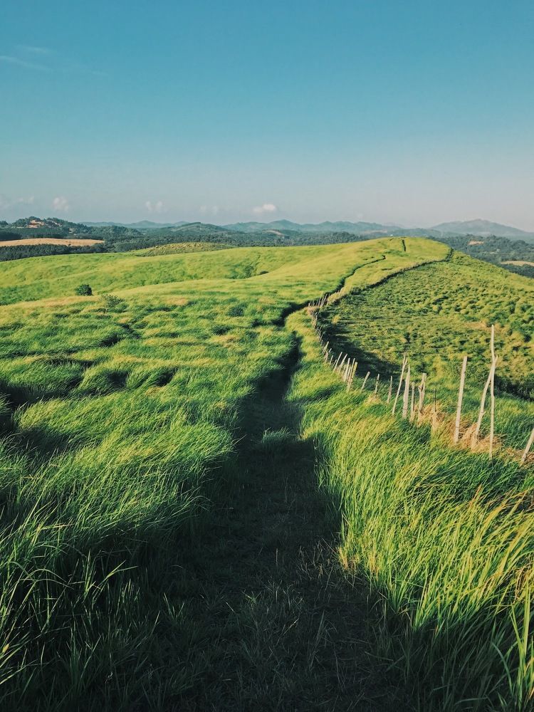 The road on the hill