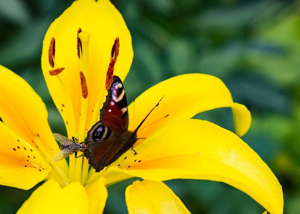 И что это мы тут делаем?