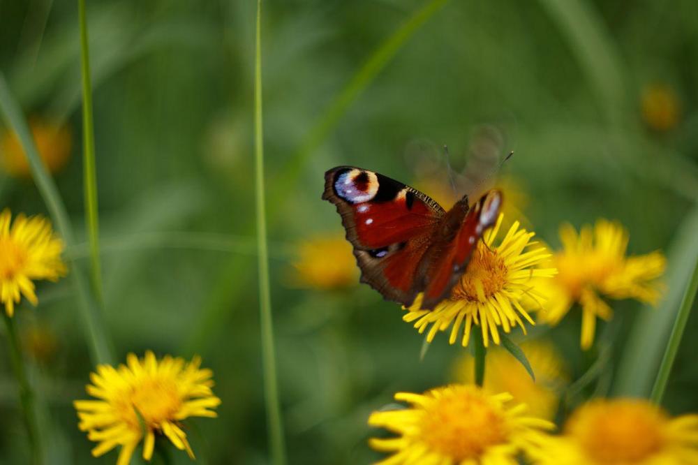 Photograph by Анна Миллер