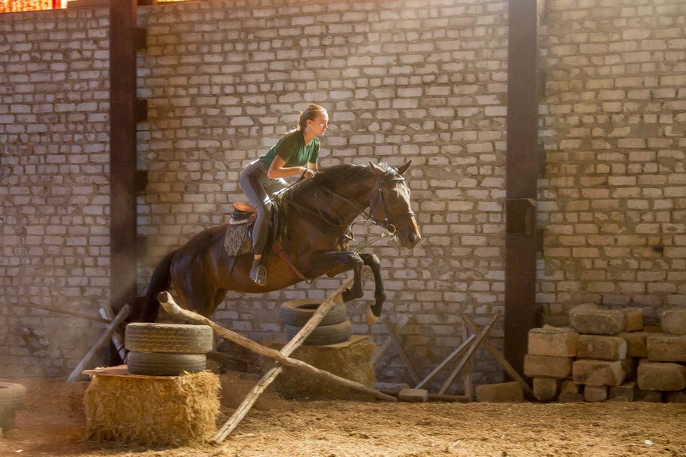 Тренировка молодого жеребца