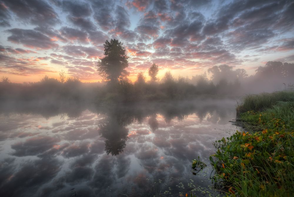 Утро на старице...