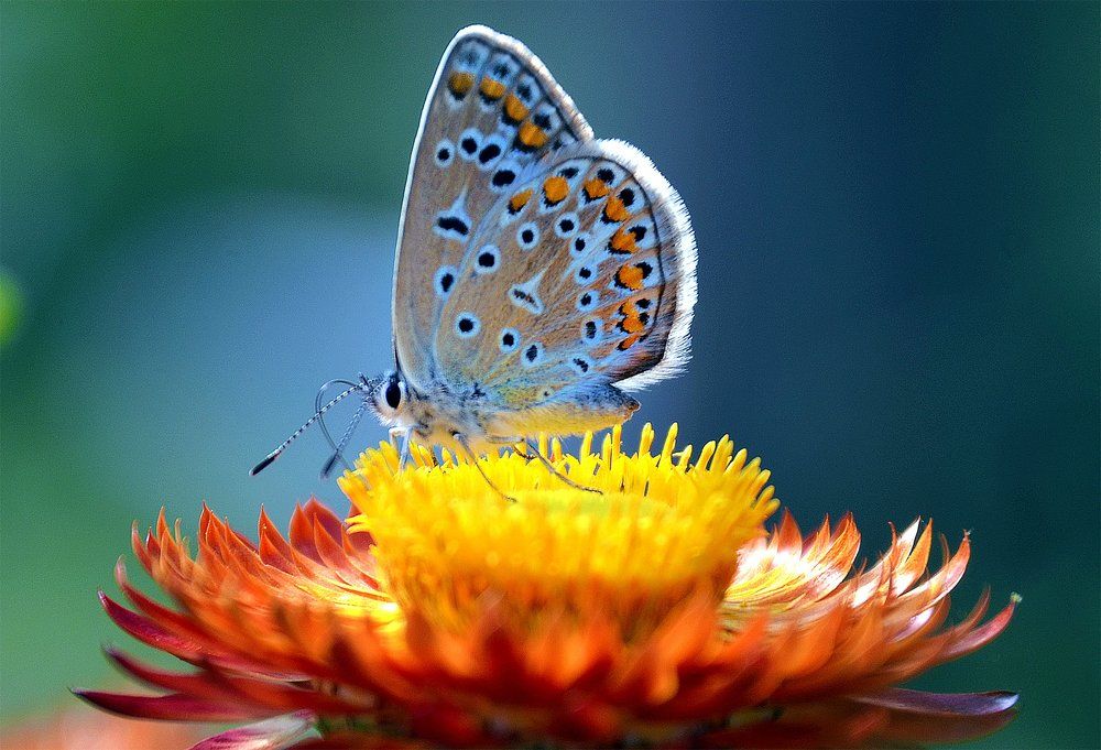 опустилось облачко