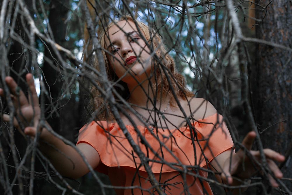 Пробираясь сквозь ветки к сердцу