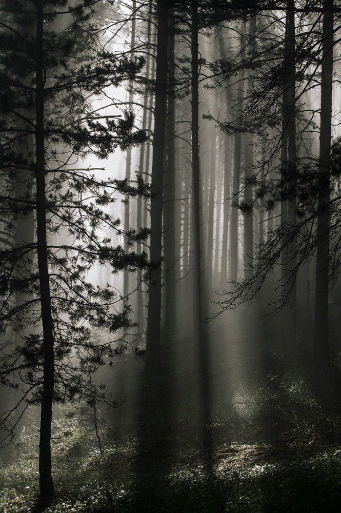 Только минуту....