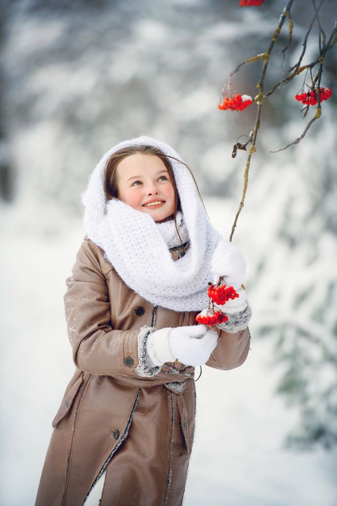 зимняя рябинка