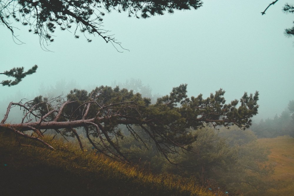 Photograph by Леван Коркия