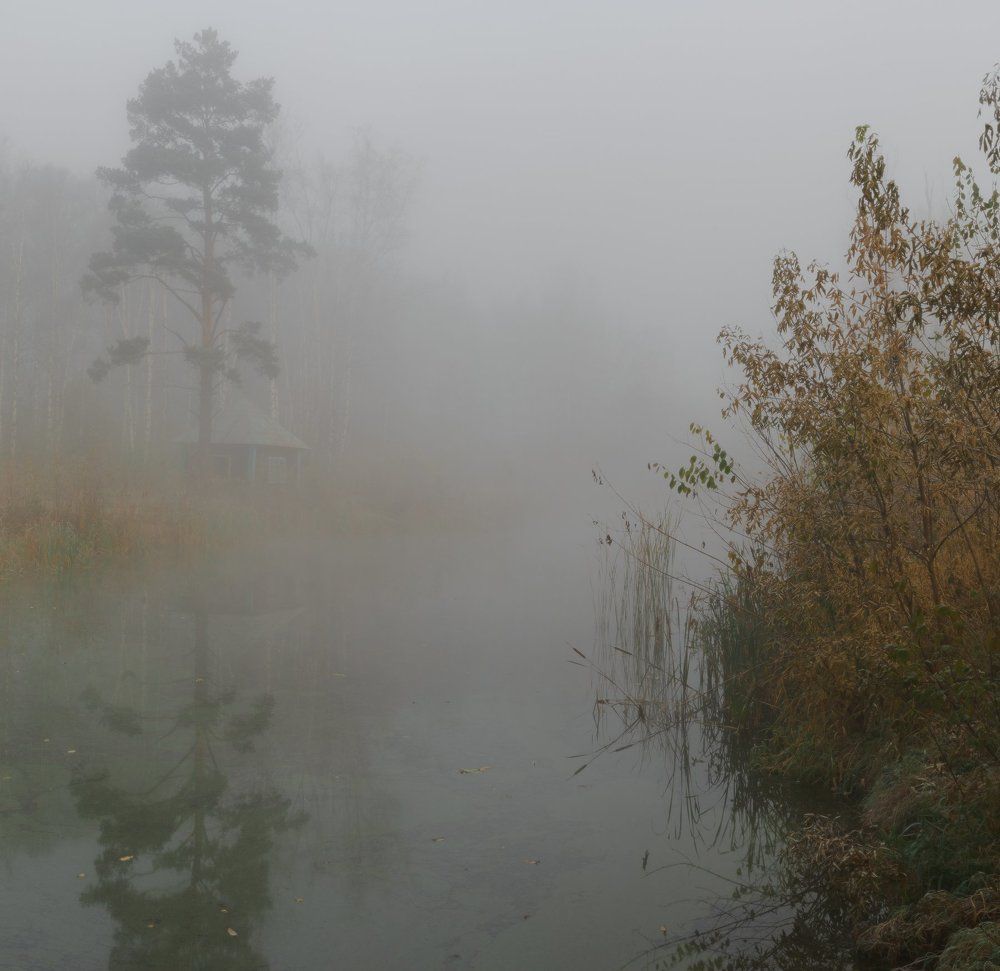 домик на пруду