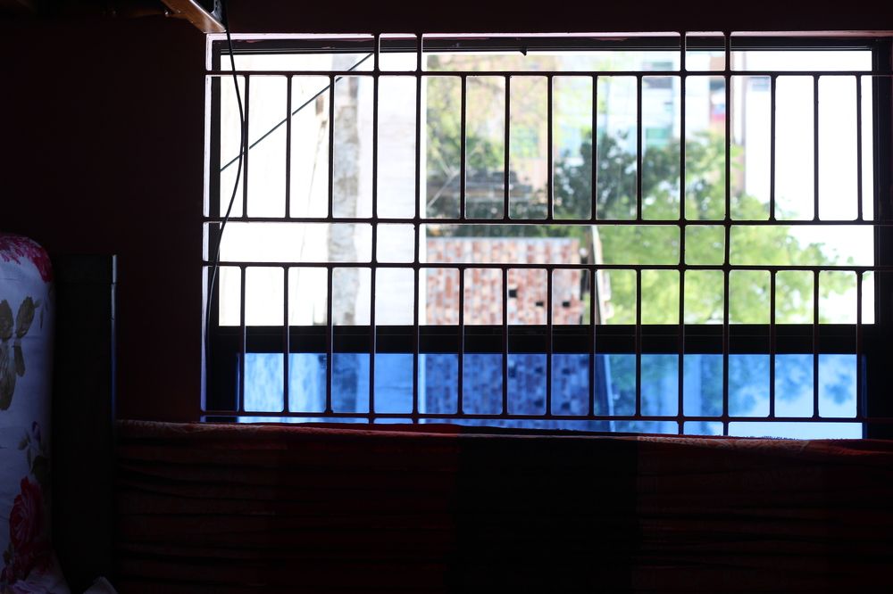 Window view