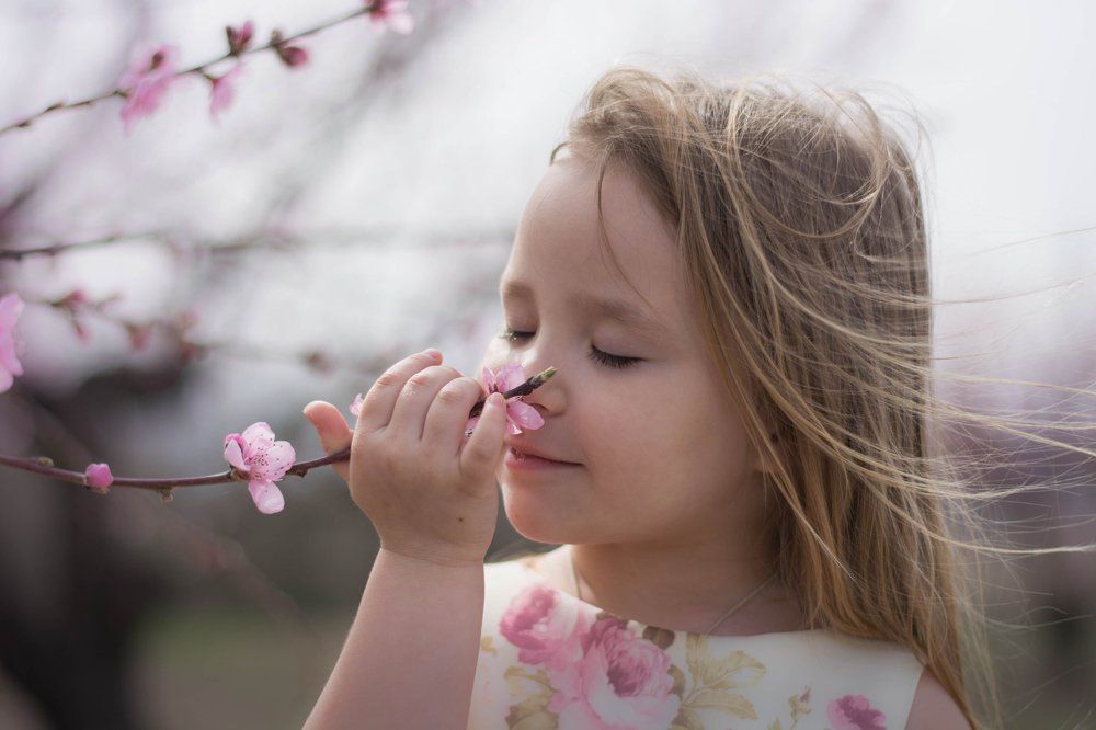 Вдыхая аромат весны