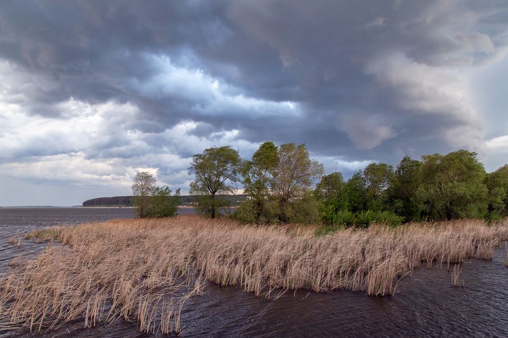Ветер гонит тучи