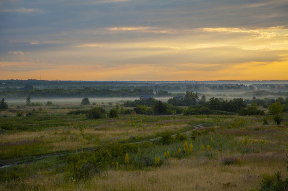 Туманное утро в деревне