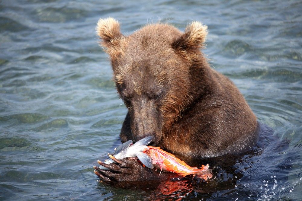 Photograph by Владимир