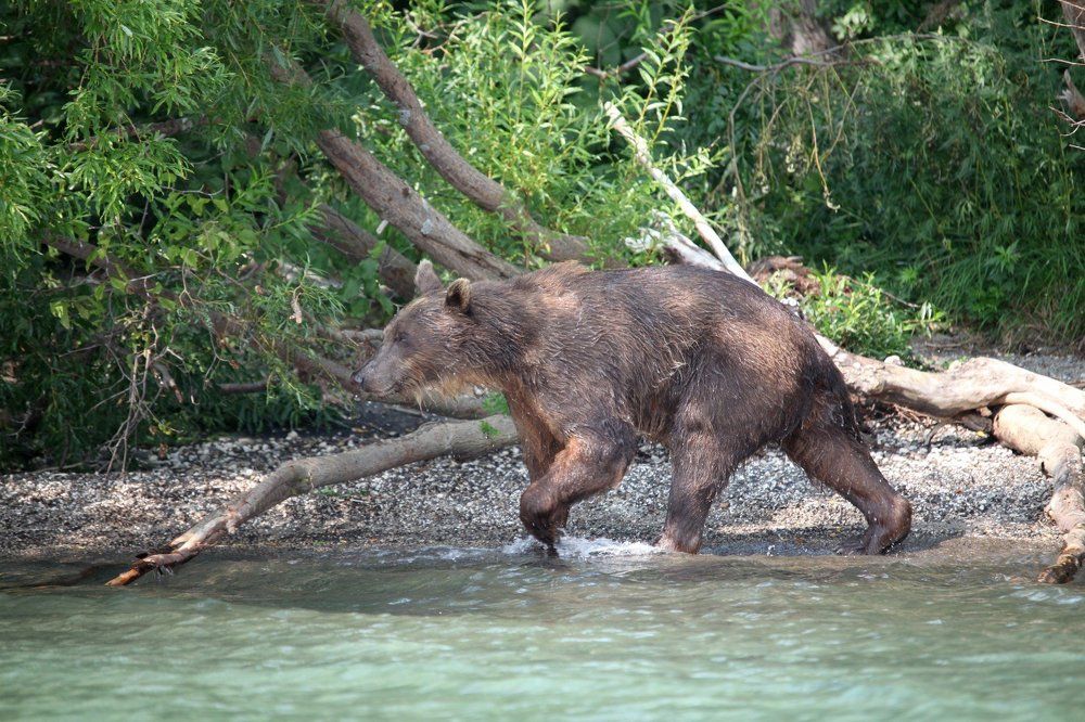 Photograph by Владимир