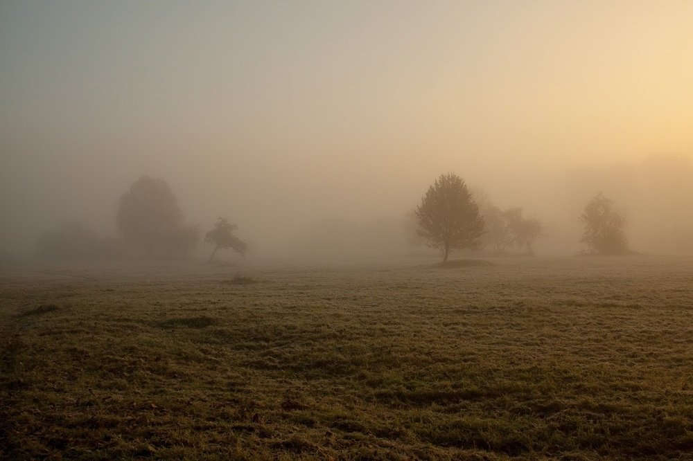Утро туманное..