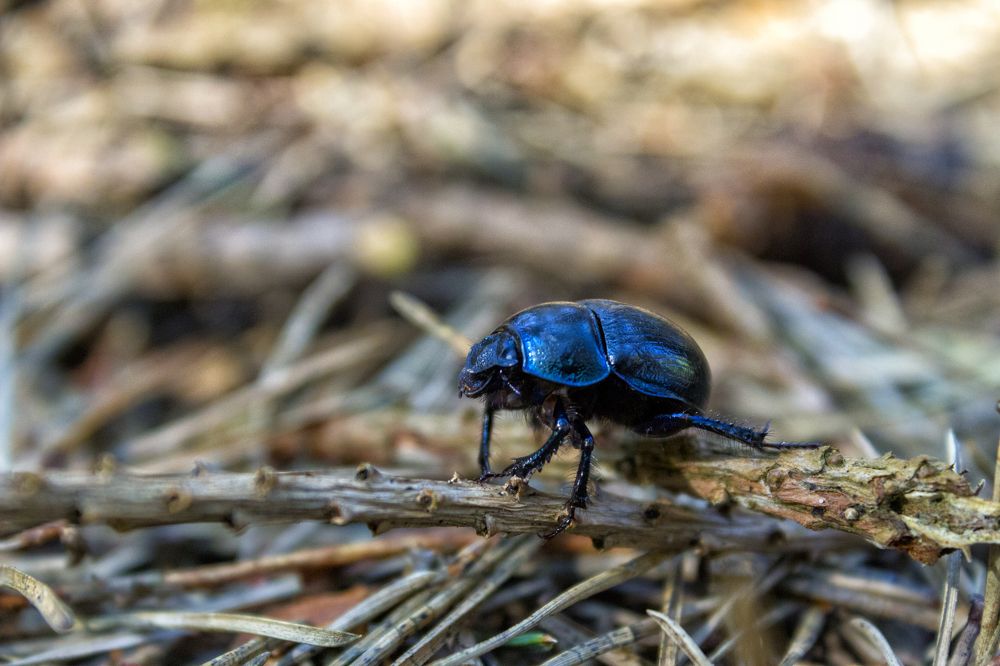 Photograph by Алексей Труханович